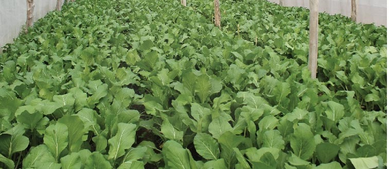 รู้จัก.. ดาวน์โหลด 1