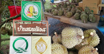 ต้นแบบ3