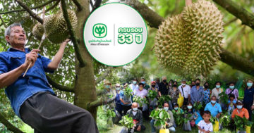 ทุเรียน3