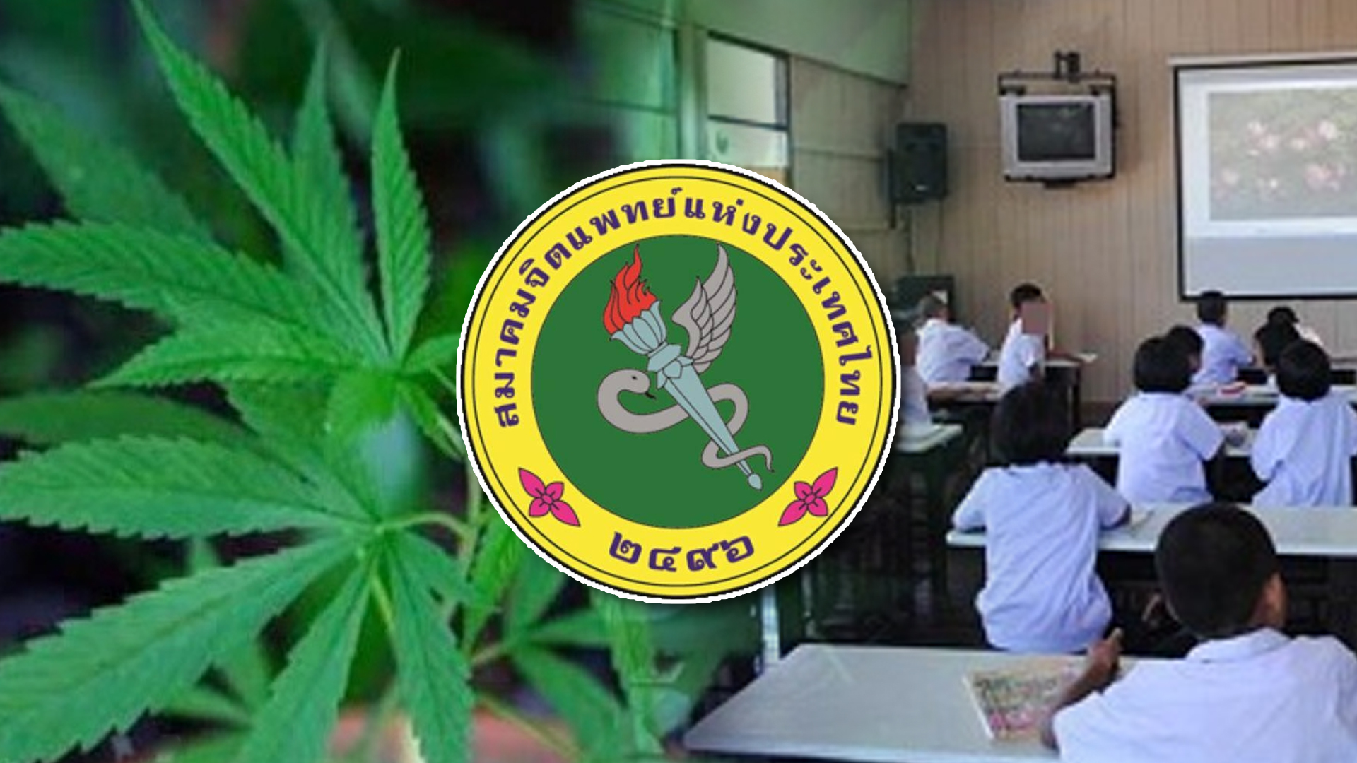 ผล2