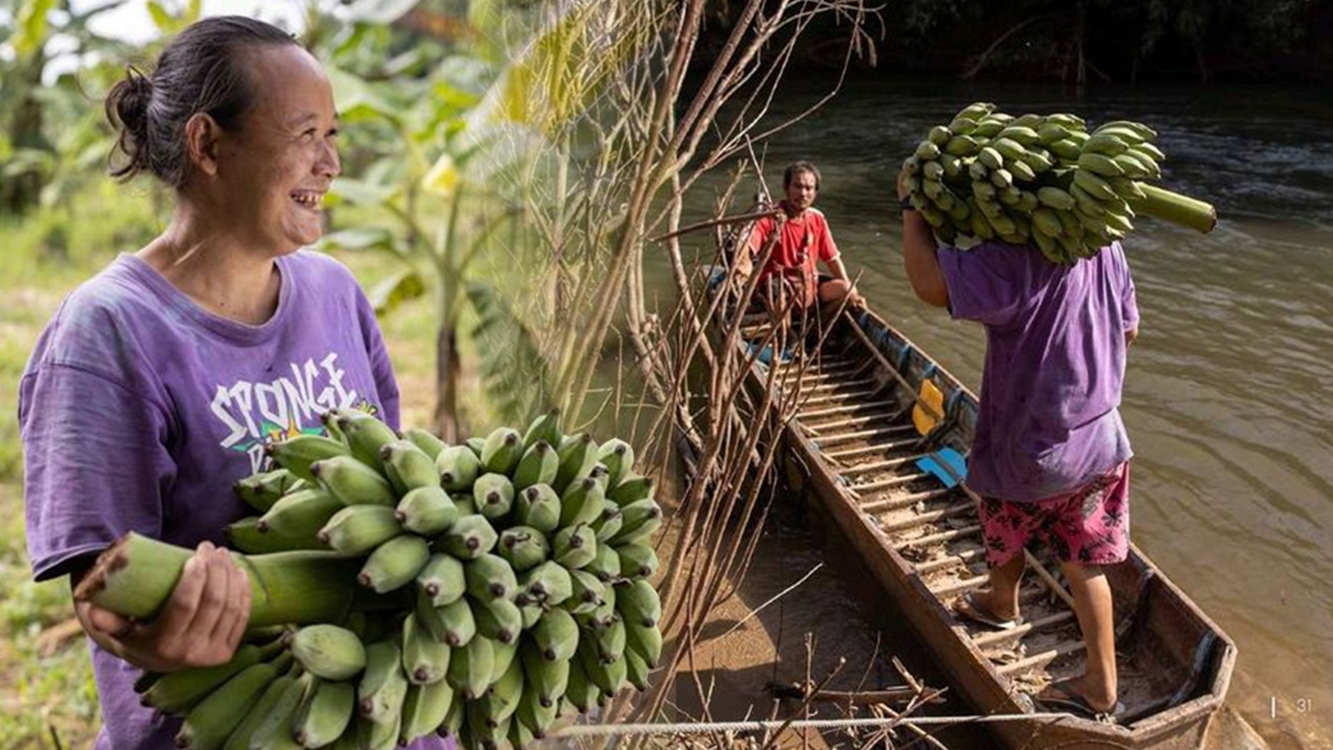 มหัศจรรย์เรื่องกล้วย ๆ ได้เงินไว ไม่ต้องลงทุนมาก 1 มหัศ2