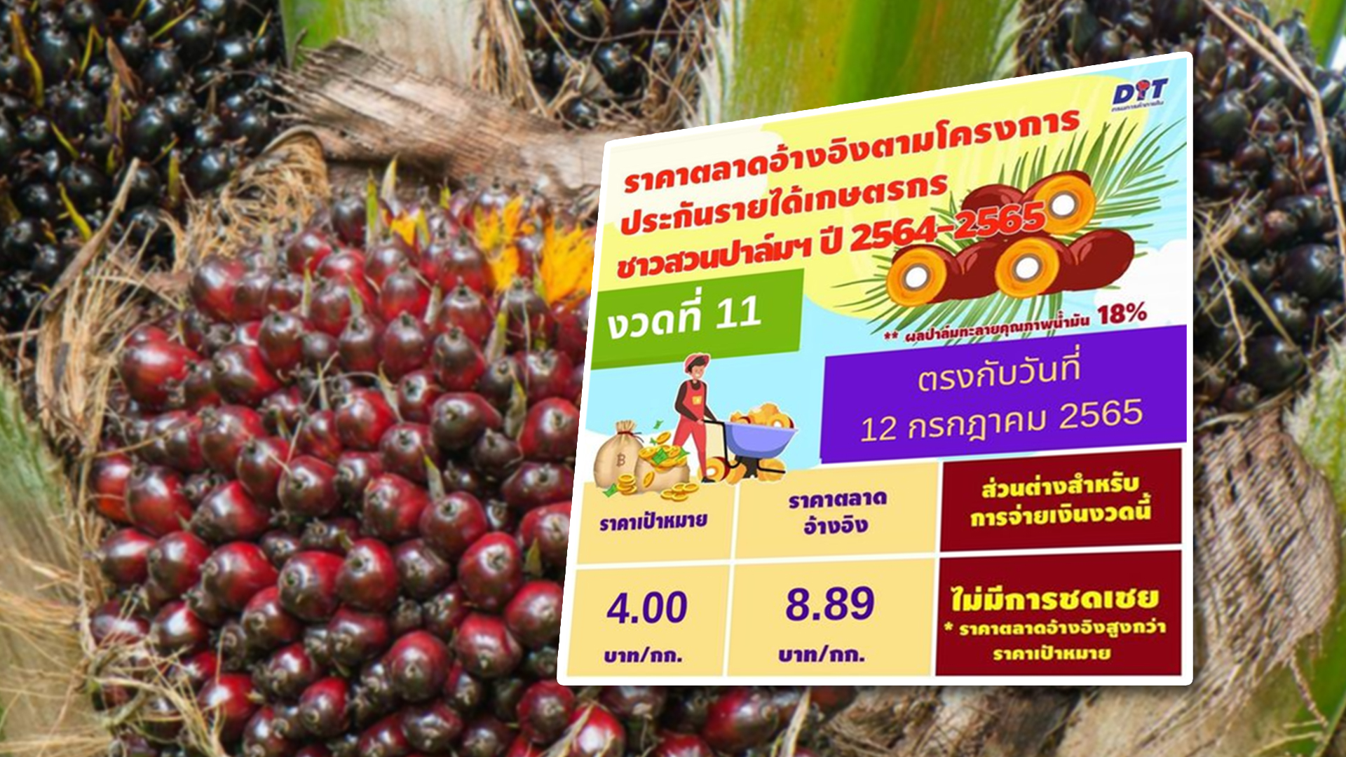 เคาะ2
