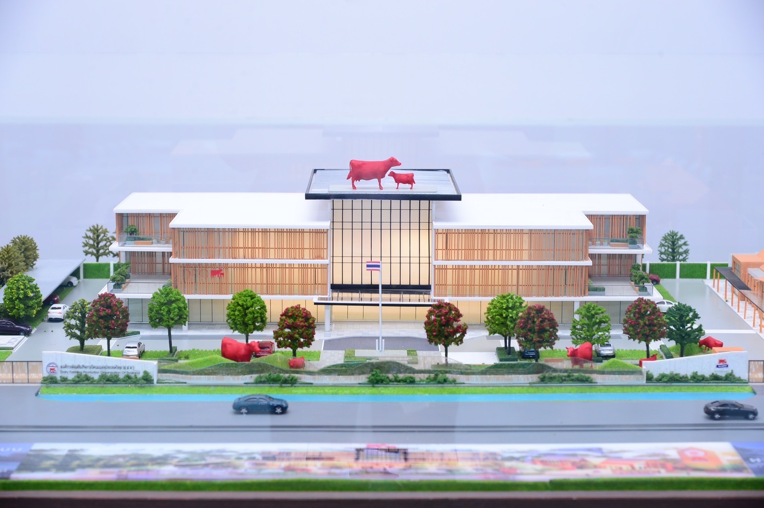 เตรียมดันนมไทย-เดนมาร์ค บุกตลาดจีนและกลุ่มประเทศเพื่อนบ้าน วางเป้ายอดขายทะลุหมื่นล้าน 5 08A09D4F 27E5 4A8B 92D2 962F45B37D00