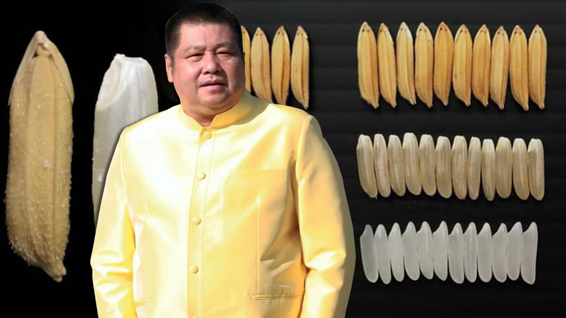 กรมข้าวเตรียมรับรองข้าว 4 สายพันธุ์ ขานรับนโยบายตลาดนำการผลิต 1 1BBF5F0E 2CB4 450E AA61 5CE0C32564FF