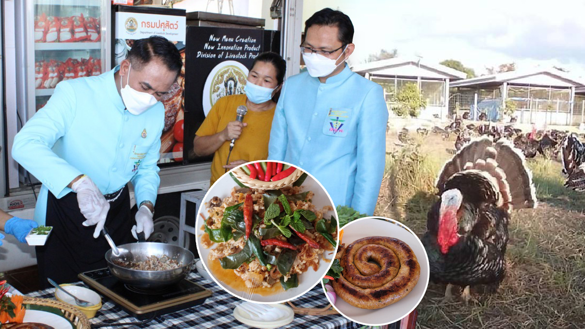 ปศุสัตว์-จ.นครพนม ร่วมผลักดัน“ไก่งวงคำเกิ้ม”เป็นสินค้าอัตลักษณ์พื้นถิ่น 1 22E66D86 3076 4AEC A617 D0F759C7D0AF