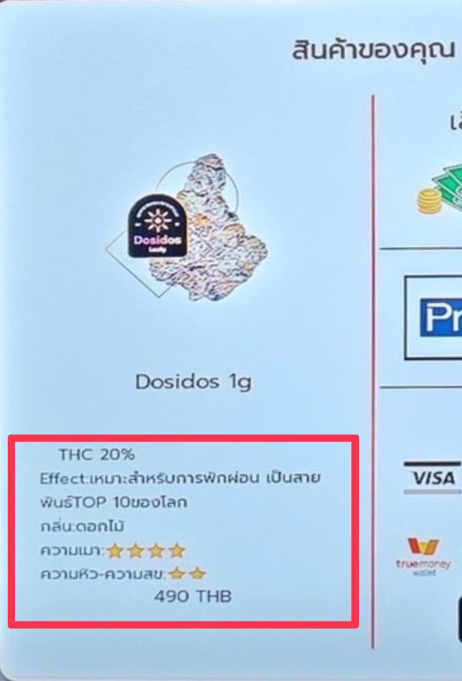 296475676 6059376870756086 8117157269168868947 n ชม