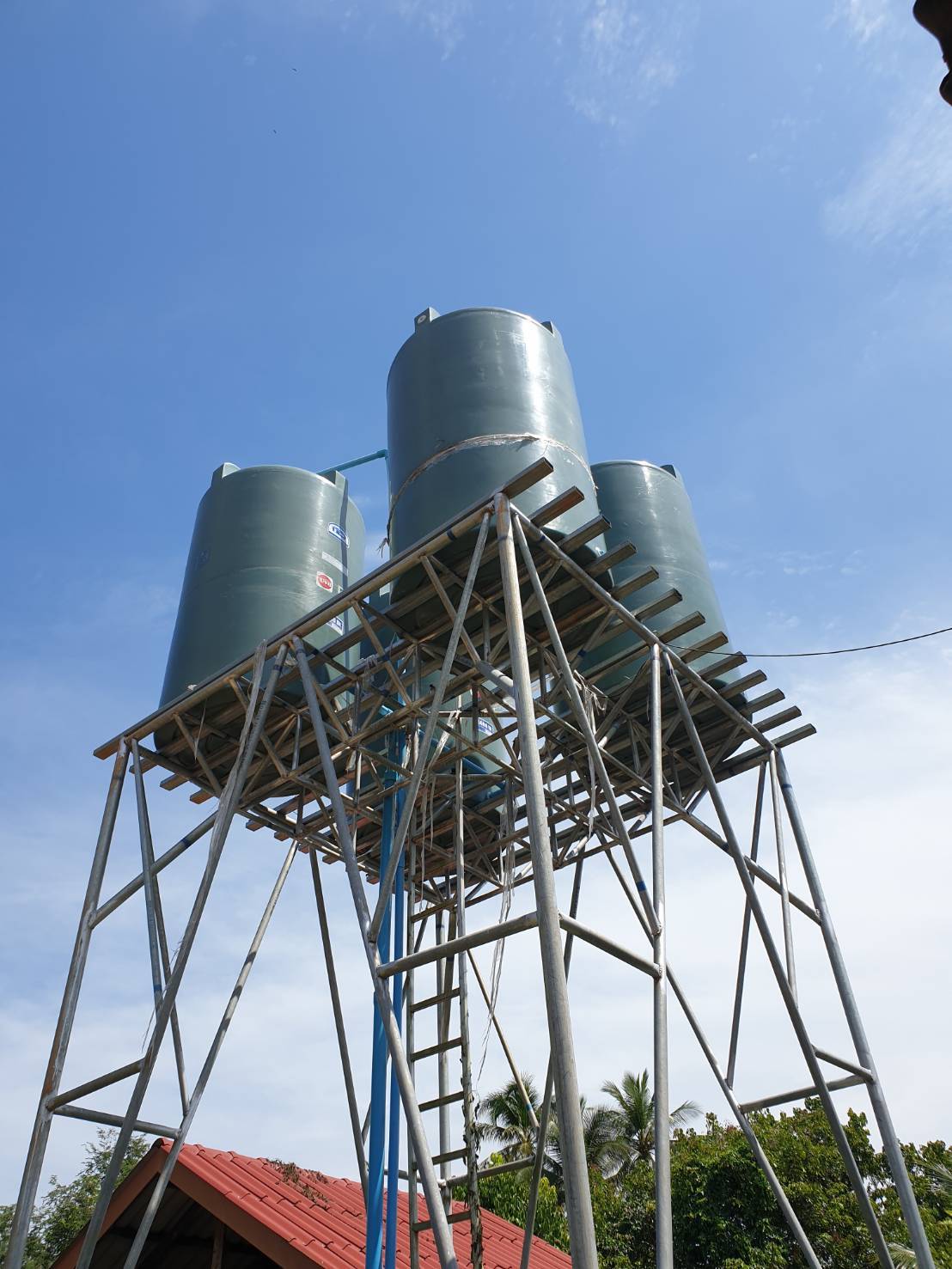 299847499 5483597961679380 3414337726324779138 n