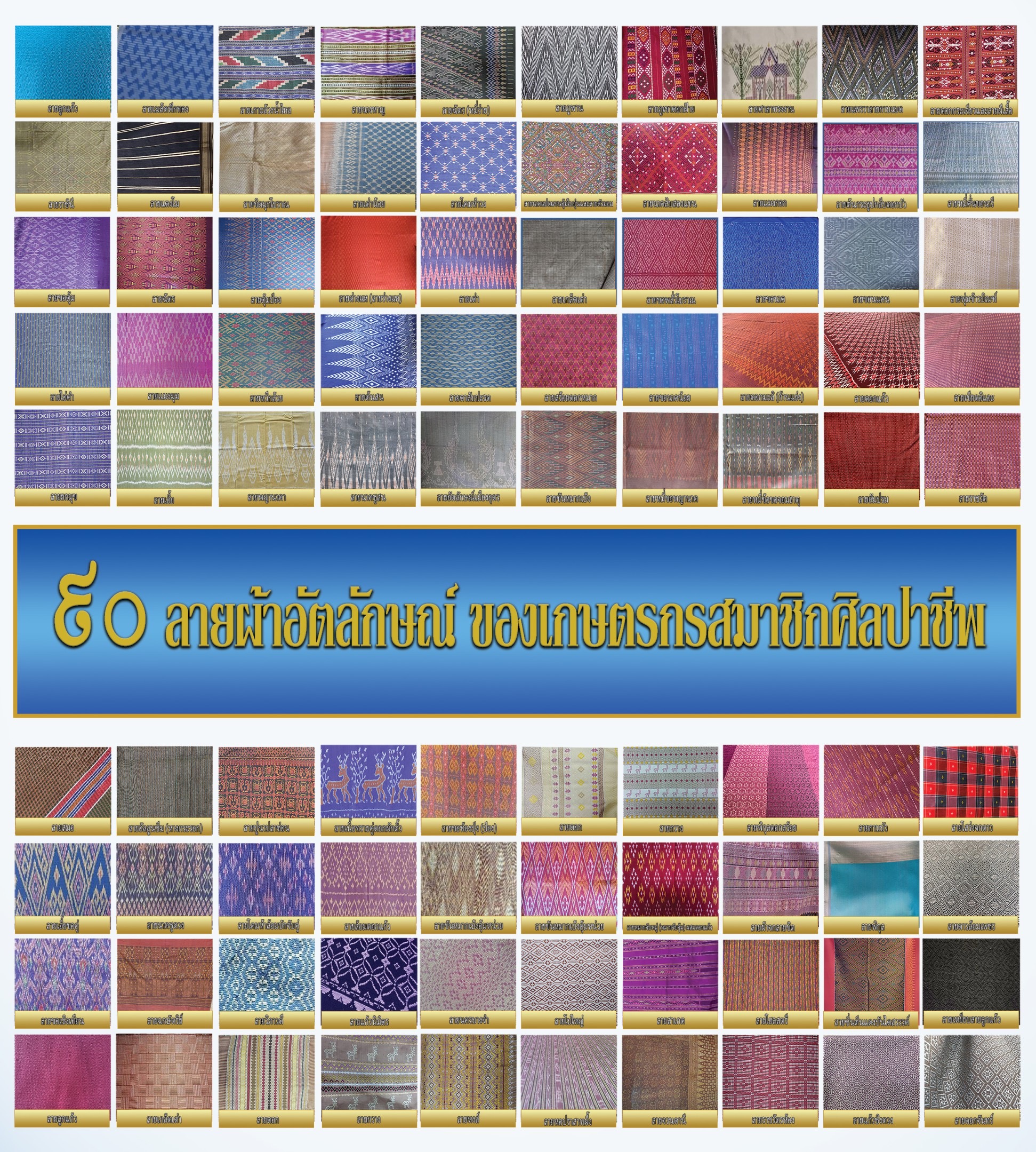 กรมหม่อนไหมชู 90 ลายผ้าอัตลักษณ์ของเกษตรกรสมาชิกศิลปาชีพ เฉลิมพระเกียรติสมเด็จพระบรมราชชนนีพันปีหลวง 2 37DEFF1D 3C5D 418F B47D 4B414D502838