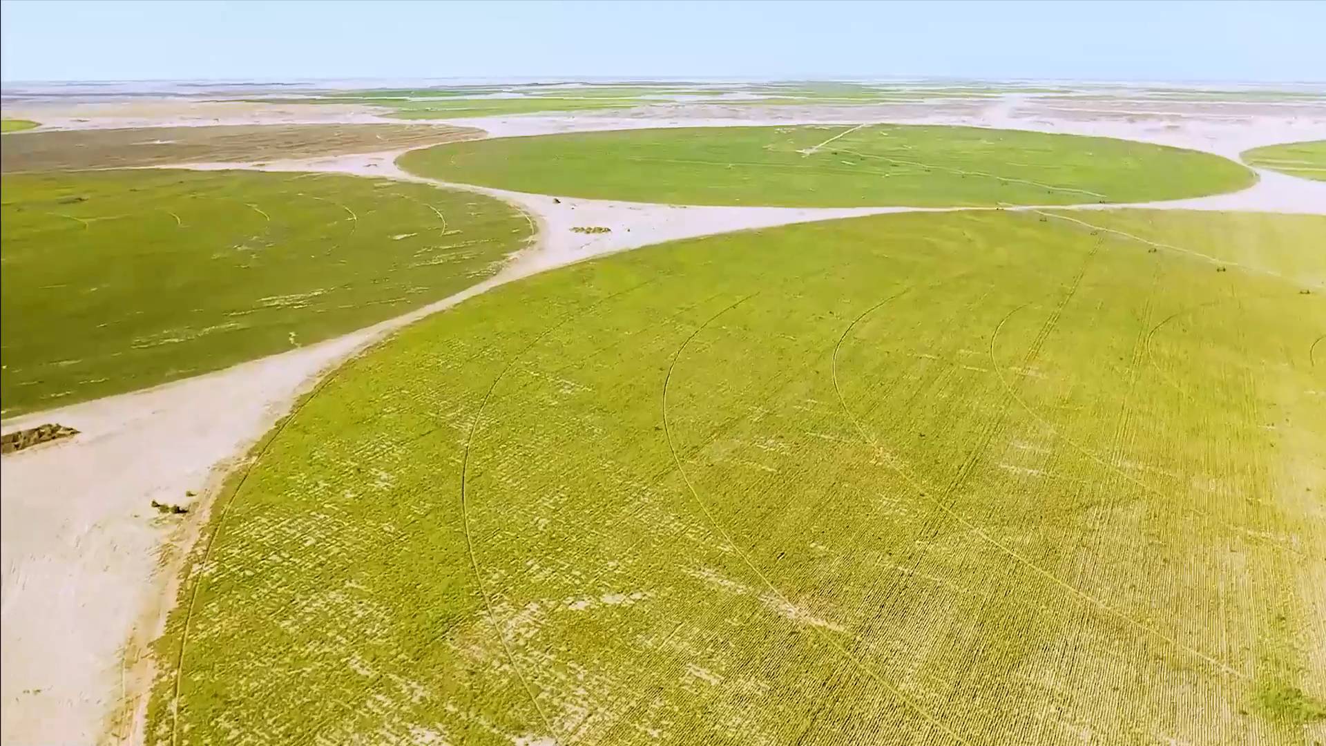 (มีคลิป)จีนช่วยอียิปต์ขุดบ่อน้ำ”พลิกทะเลทรายสู่ไร่บีต”เขียวขจี 4 43A28EA5 9A51 4E0B 9A84 A28985C588F7