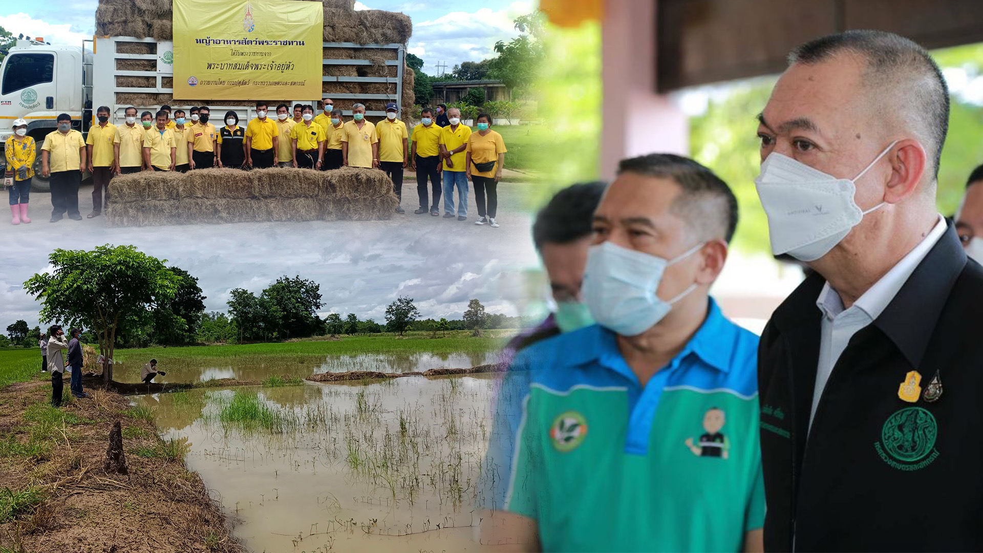 กระทรวงเกษตรฯให้หน่วยงานในสังกัดเตรียมช่วยเหลือเกษตรกร จากเหตุอุทกภัย 14 จังหวัด 1 4D1C5E82 4012 4530 83F5 B5E97DAE0522