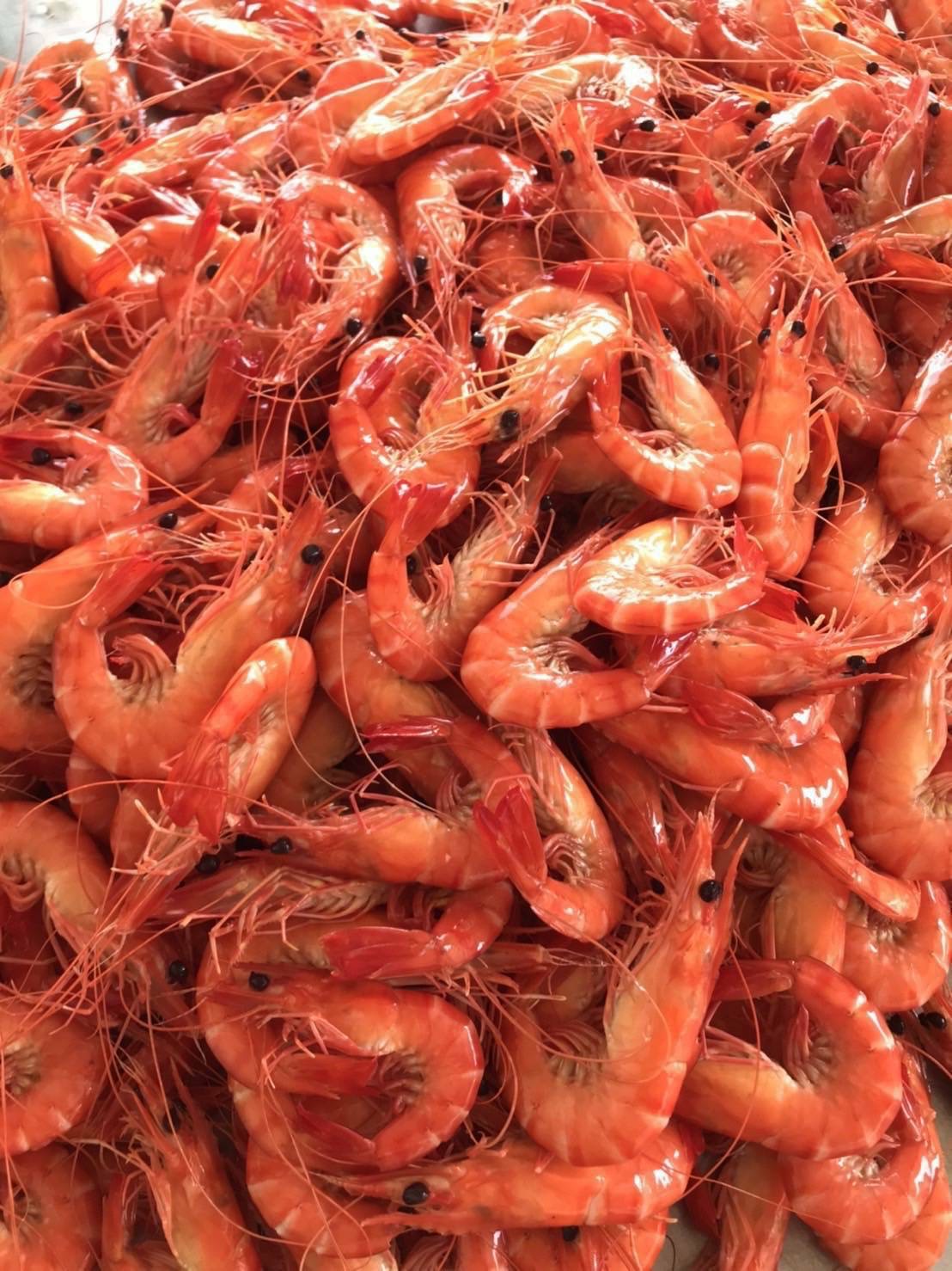 ประมงยันคุมเข้มตรวจโรค-สารตกค้างกุ้งทะเลนำเข้า 3 579BB942 6D72 4184 A010 B8F44F682E1E