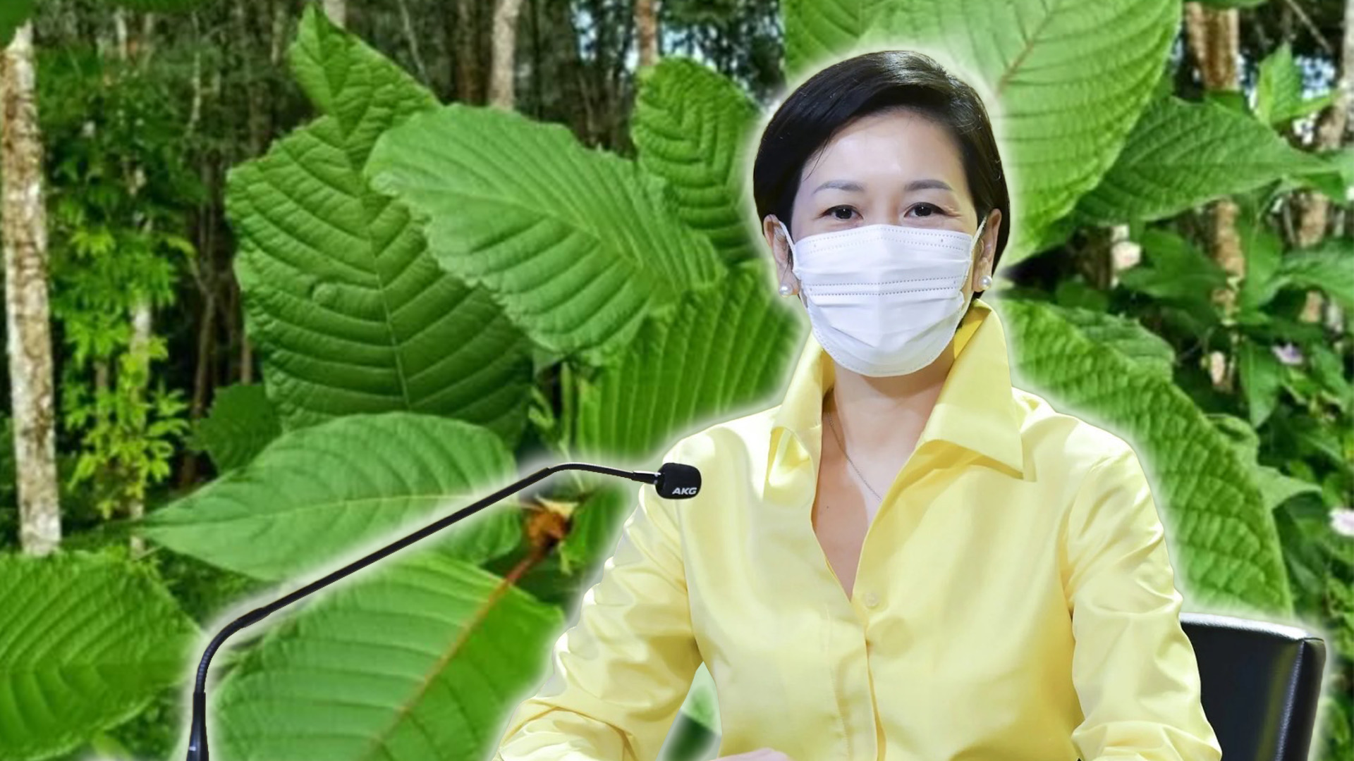 5858261F 032A 4B49 892B 3AF296542A2A