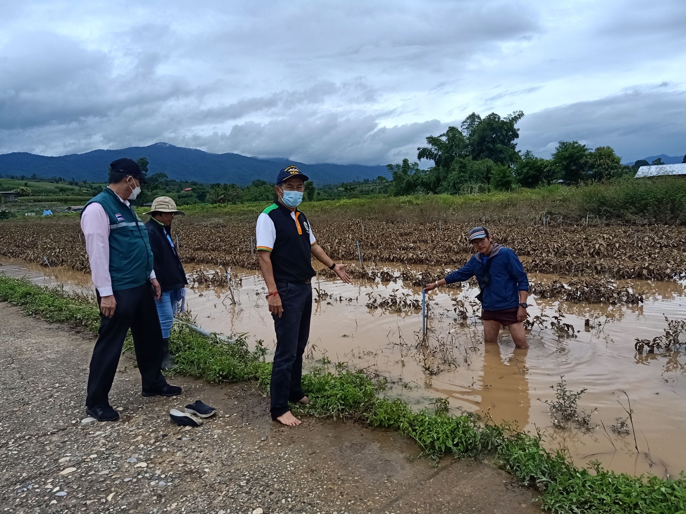 กระทรวงเกษตรฯให้หน่วยงานในสังกัดเตรียมช่วยเหลือเกษตรกร จากเหตุอุทกภัย 14 จังหวัด 2 59987355 E1F3 46E2 8C29 8AA2BE4C4918