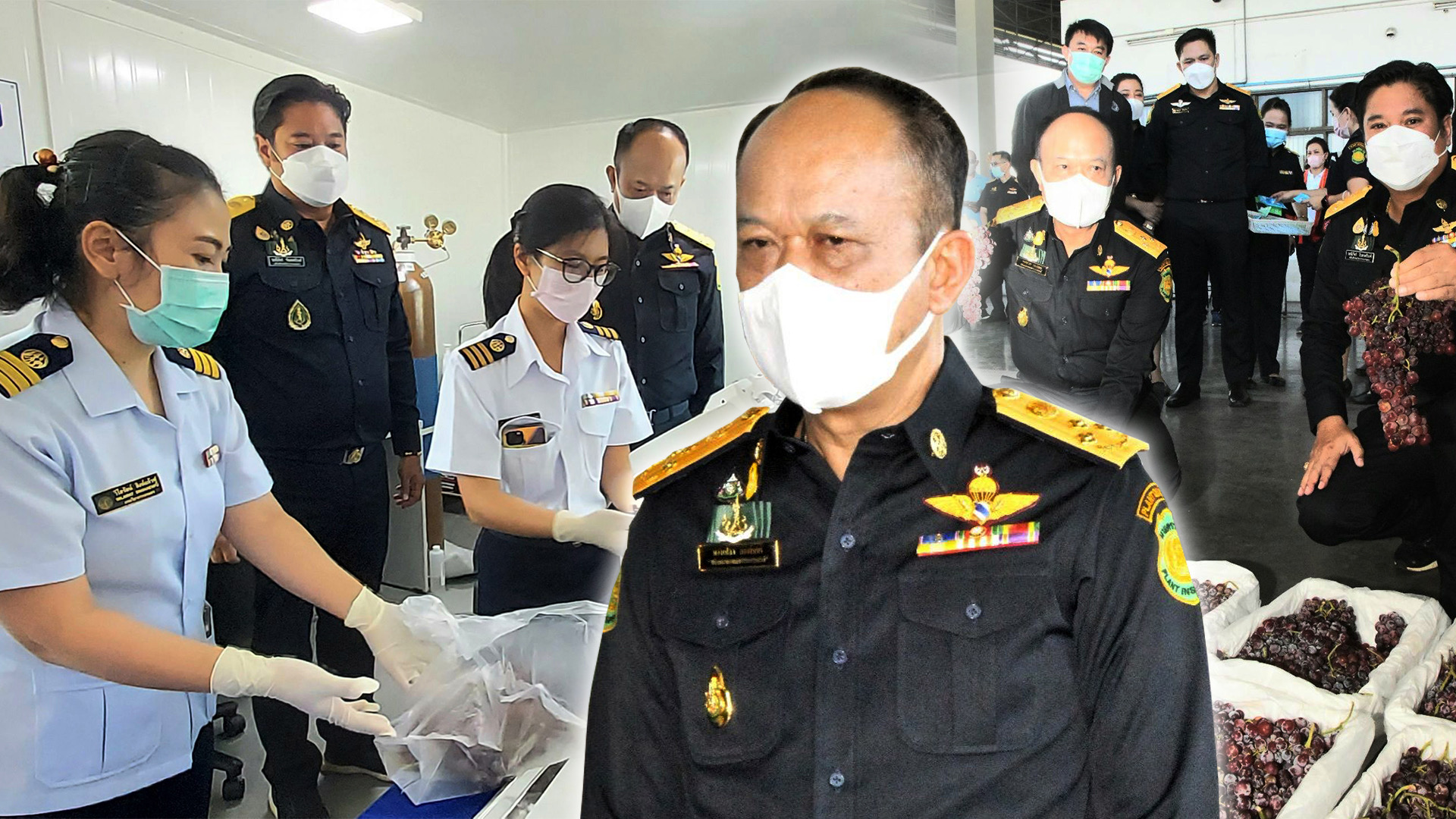 ปลัดเกษตรฯติดตามสถานการณ์ส่งออกผลไม้สดไปจีน มั่นใจรักษาตลาด”แสนล้าน”ต่อเนื่อง 1 75A20CAA FB7B 40FA A672 B26622351B25