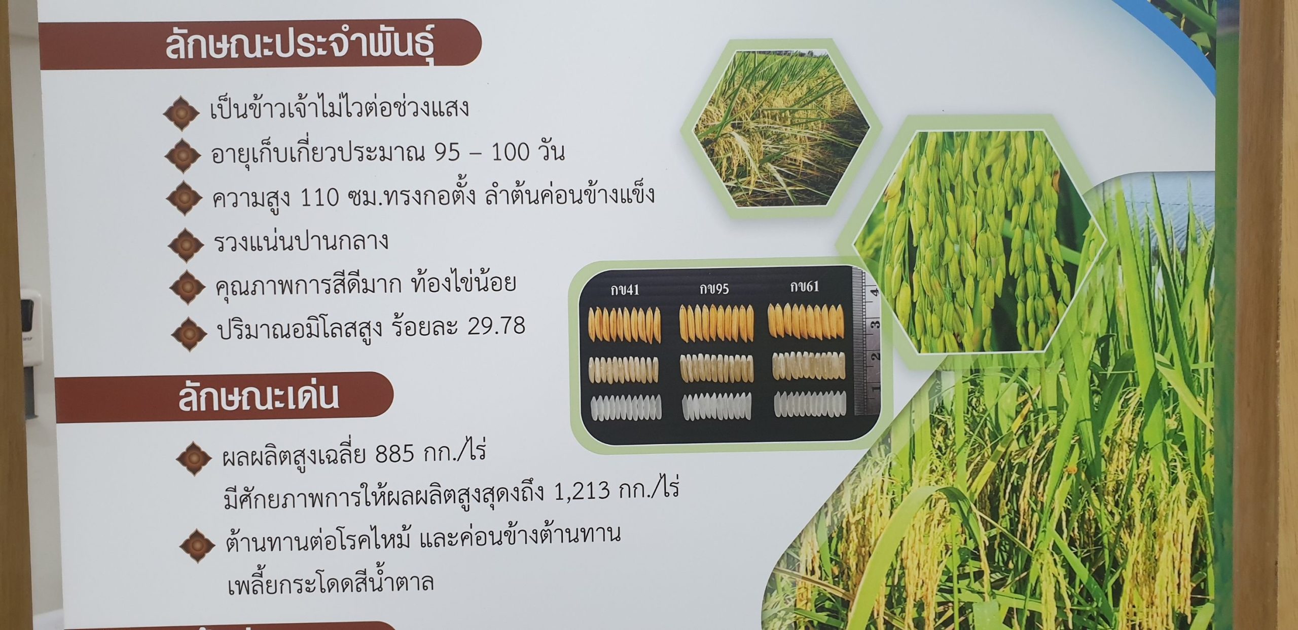 77A14619 23AD 4A75 AC9E B913F8205163 scaled