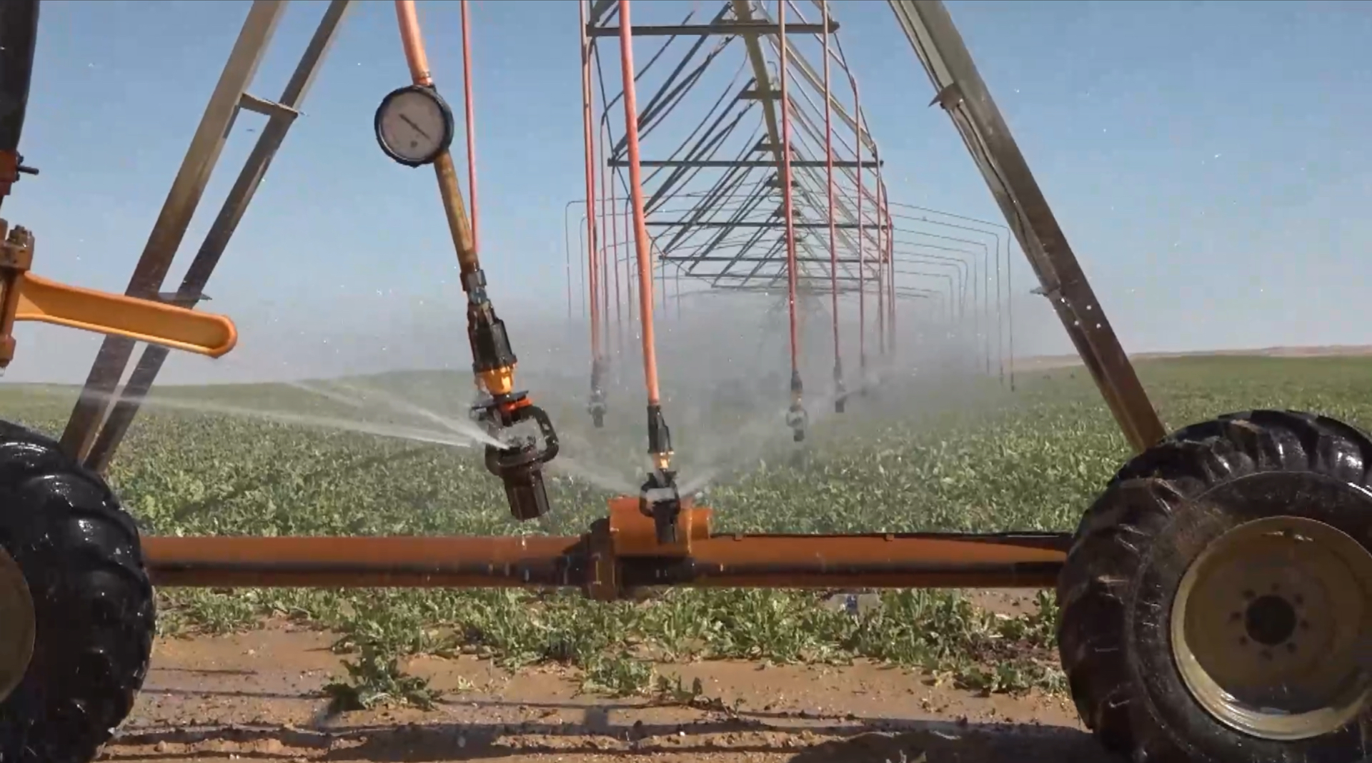 BA616BB8 0C88 43FC 8079 7AD5C5F8A844