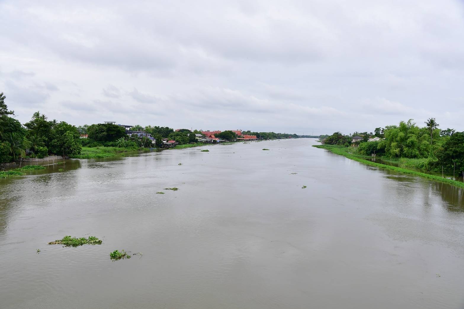 ชลประทานเดินหน้าสูบน้ำท่วมขังนาข้าวทุ่งโพธิ์พระยา เร่งระบายน้ำแม่น้ำท่าจีนออกสู่ทะเลให้เร็วที่สุด 6 CA6DD3BF 83D5 4A7F 8FF0 66F1F78DE075