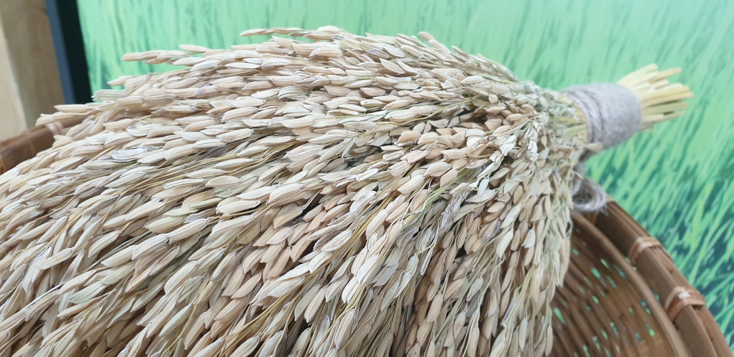 D261DC4E 08CD 46C3 B005 12695C0F3CFD scaled