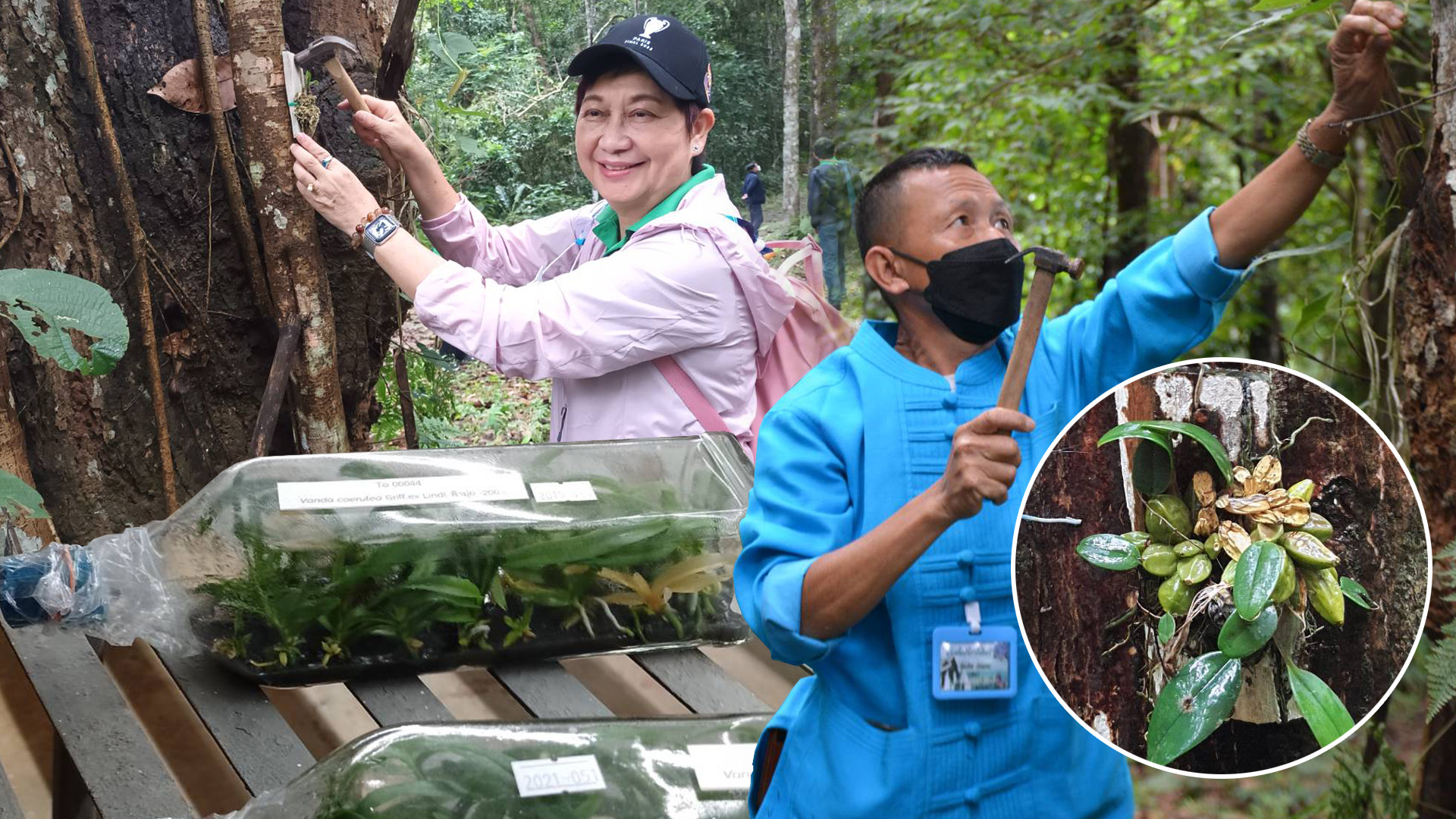 ปล่อย ”ฟ้ามุ่ย คืนสู่ป่า” เฉลิมพระเกียรติพระบรมราชชนนีพันปีหลวง 1 DA488C64 0532 4410 80C5 D2FE9C336463