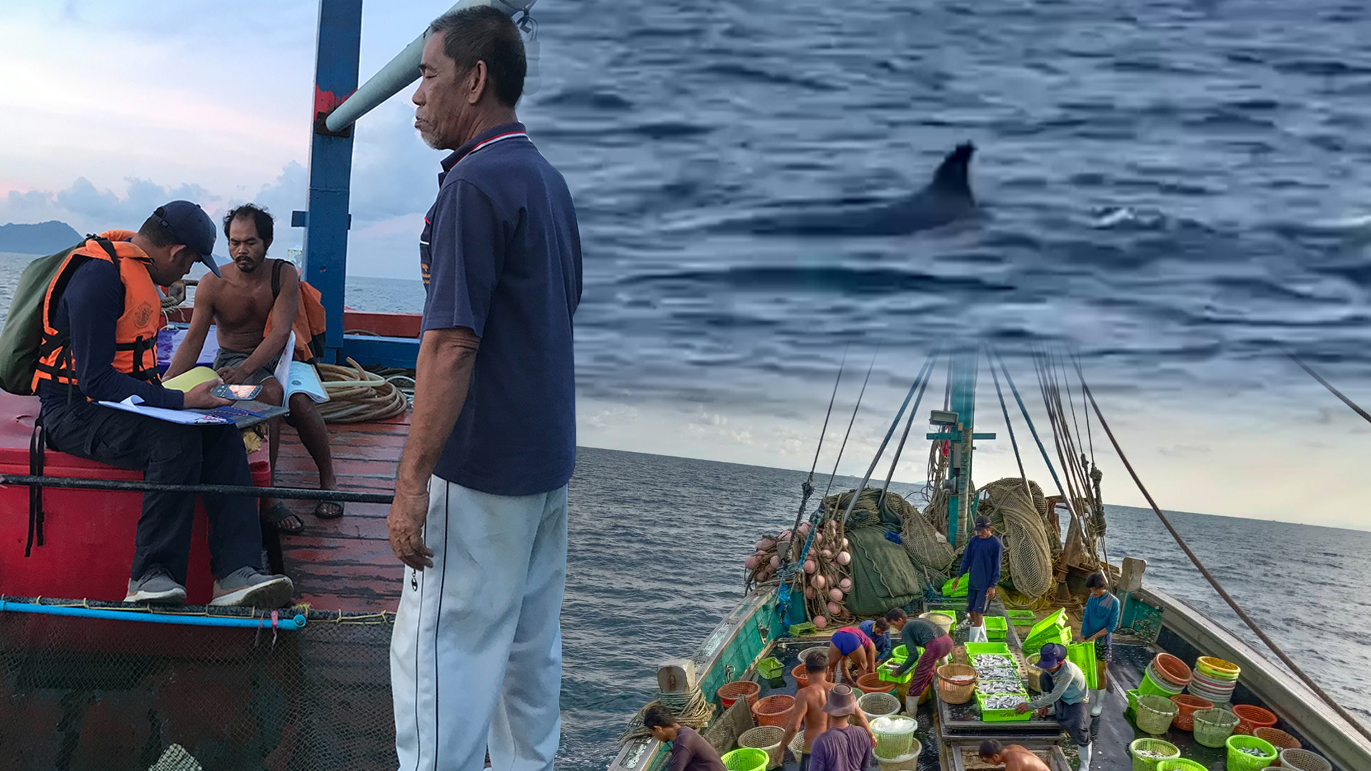 (มีคลิป)ตื่นตา!พบฝูงวาฬบรูด้าว่ายน้ำโชว์ สะท้อนความอุดมสมบูรณ์ท้องทะเลสตูล 1 E0525197 AB65 4329 9DD6 A63C8C849E50