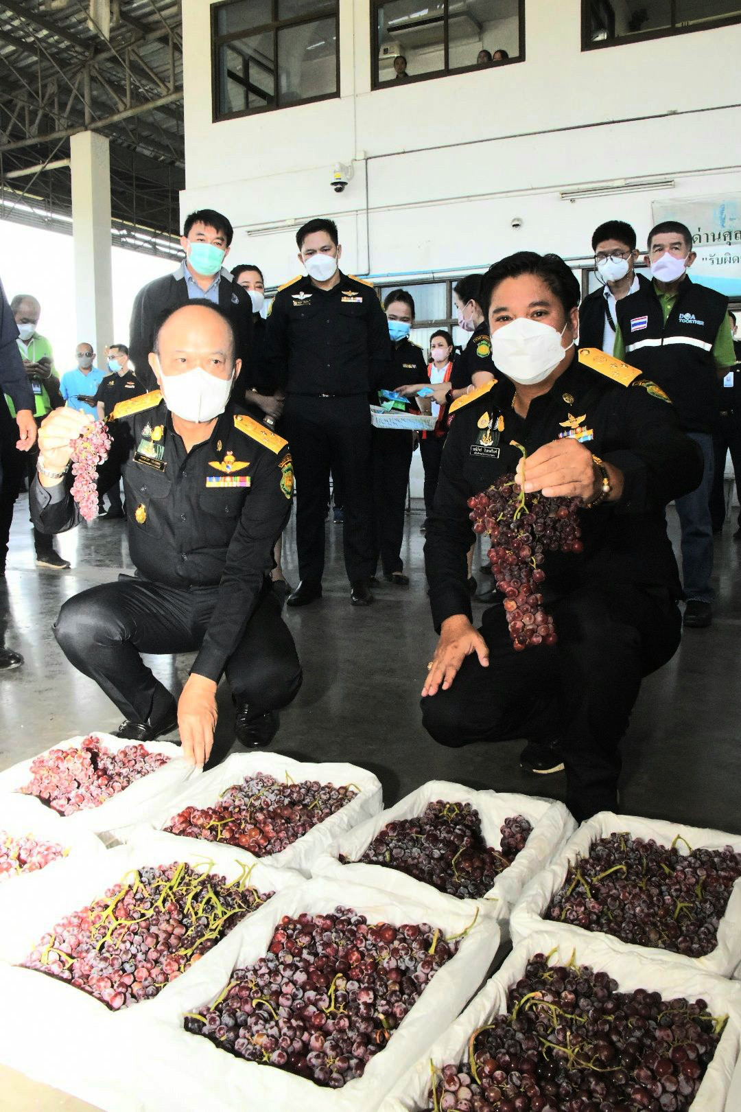 ปลัดเกษตรฯติดตามสถานการณ์ส่งออกผลไม้สดไปจีน มั่นใจรักษาตลาด”แสนล้าน”ต่อเนื่อง 3 E0E425F7 13F0 45D6 9BAD E6759393666A