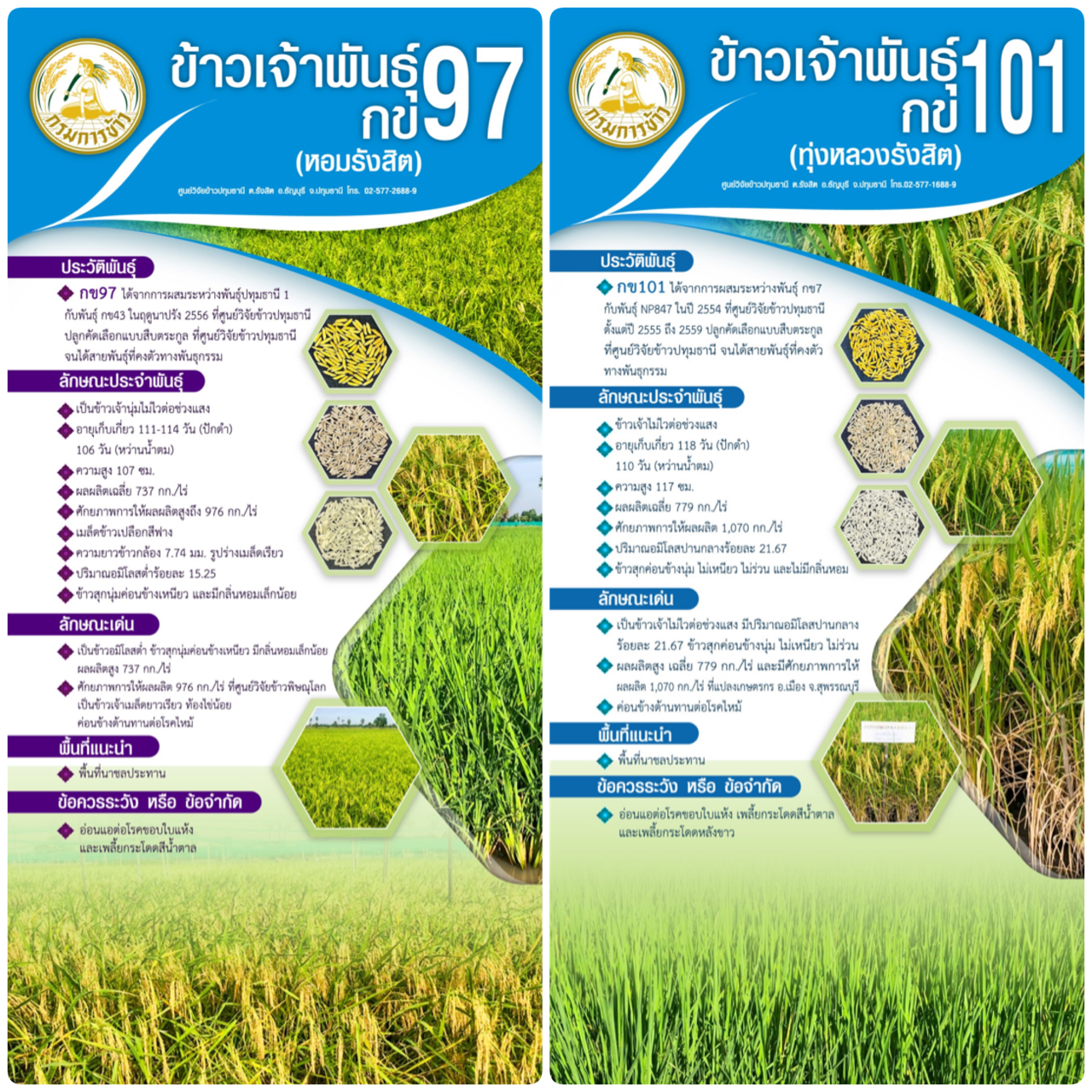 E656E7C5 DCD2 4213 9F39 A3C7EBEDEE52