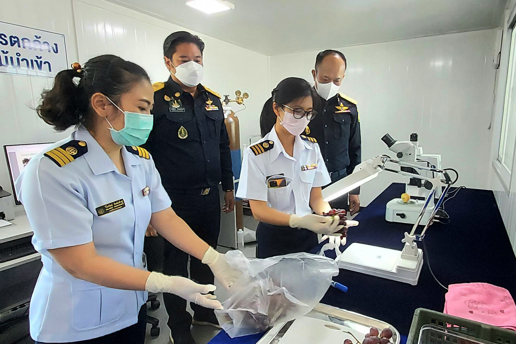 ปลัดเกษตรฯติดตามสถานการณ์ส่งออกผลไม้สดไปจีน มั่นใจรักษาตลาด”แสนล้าน”ต่อเนื่อง 4 F316D2DA 8E2A 41E3 B7EC 9F46EC223BB2