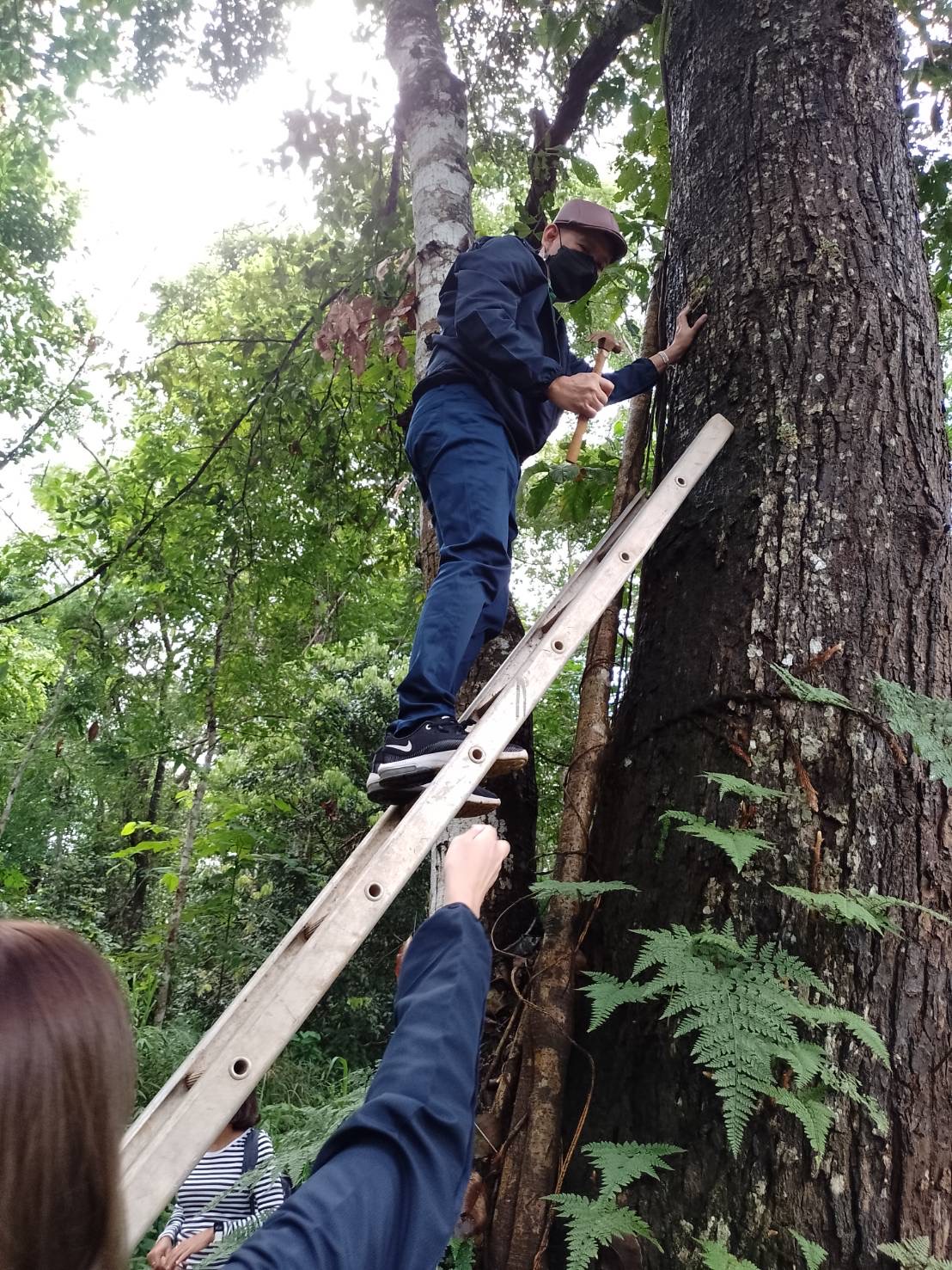 ปล่อย ”ฟ้ามุ่ย คืนสู่ป่า” เฉลิมพระเกียรติพระบรมราชชนนีพันปีหลวง 2 FE0C95CA C849 4053 93D9 F0433422A0B3