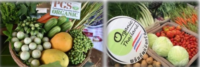 ก.เกษตรฯเร่งขับเคลื่อน”สภาเกษตรอินทรีย์ พี จี เอส S 10316053