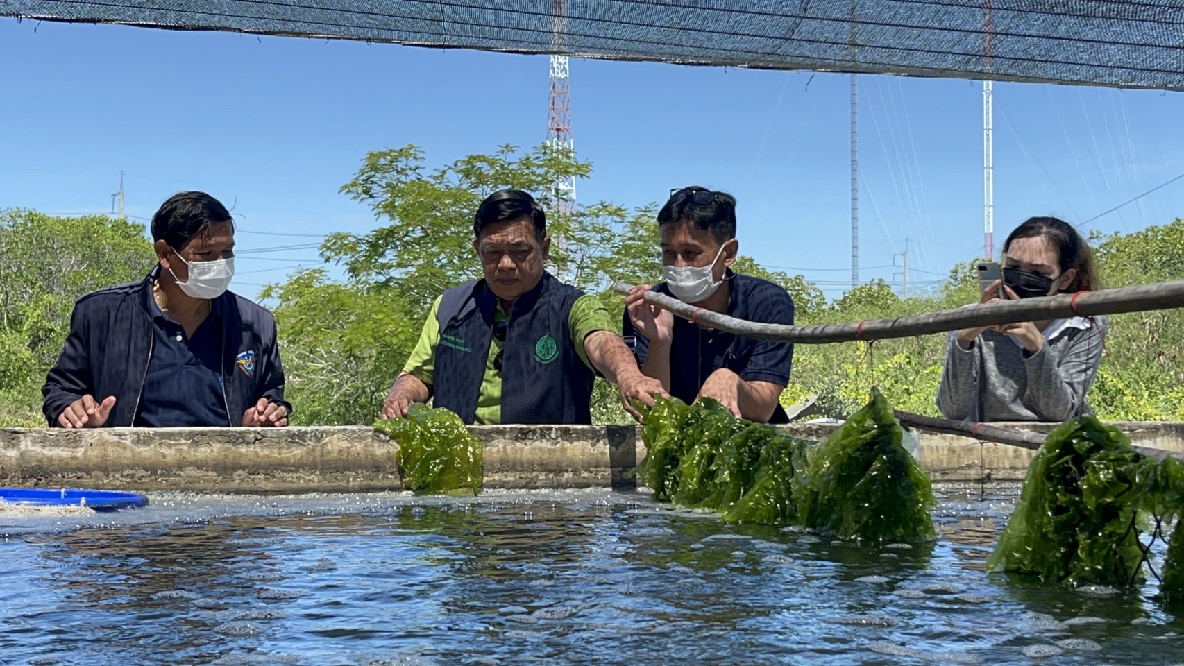 อลงกรณ์ ขับเคลื่อน เพชรบุรีโมเดล คิกออฟโครงการพืชเศรษฐกิจใหม่ สาหร่ายอาหารแห่งอนาคต หวังสร้างอาชีพเพิ่มรายได้ให้เกษตรกร 3 S 21200906