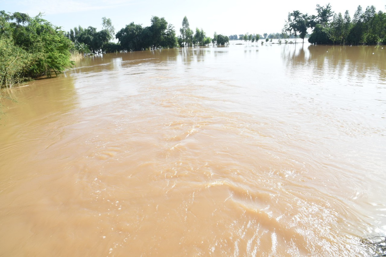 ธ.ก.ส. เร่งช่วยเหลือเกษตรกรที่ประสบภัยน้ำท่วม วงเงิน 12,000 ล้านบาท 2 timeline 20200828 093530