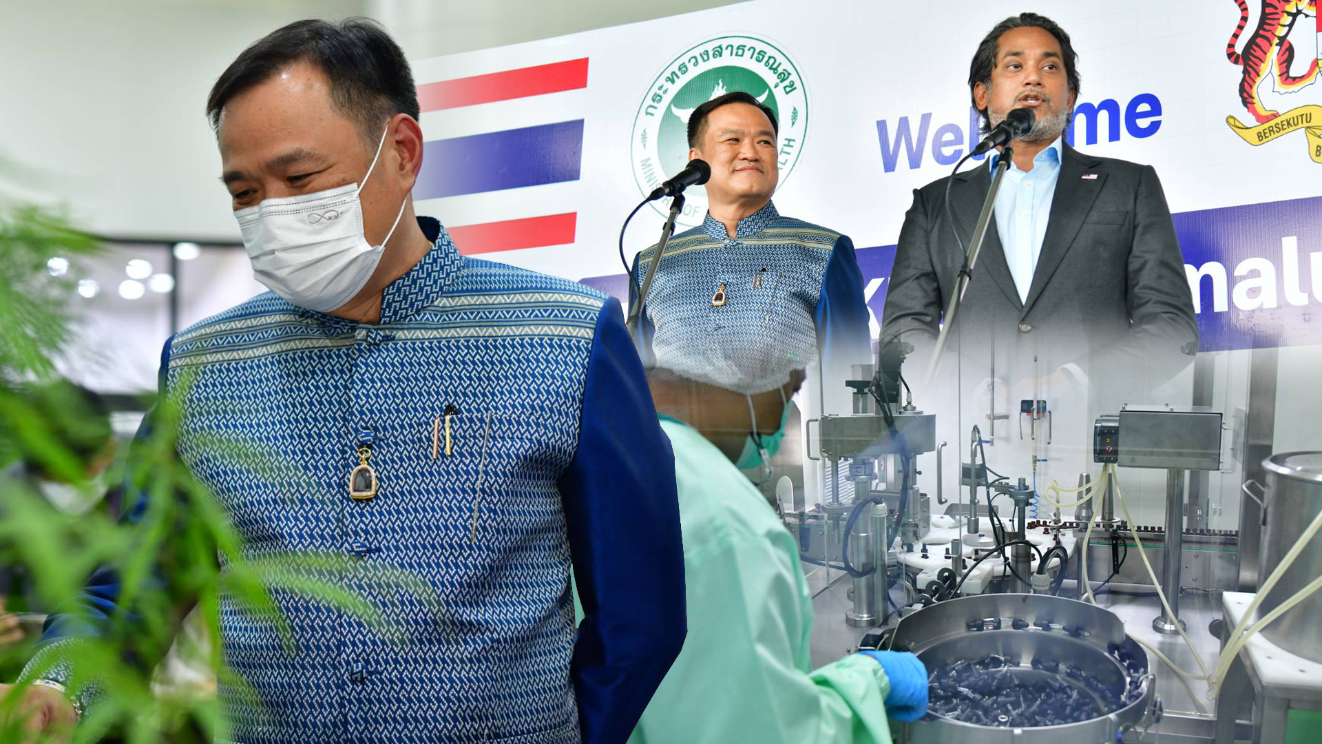 อนุทิน นำ รมว.สธ.มาเลเซีย ศึกษา “กัญชาทางการแพทย์”แบบครบวงจร 1 กัญชา3 8