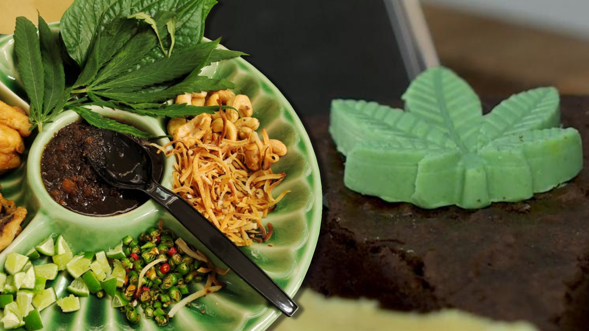 สภาองค์กรของผู้บริโภค ชง สธ. บังคับขออนุญาต กรณีครอบครองและผสมกัญชาในอาหาร ทุกครั้ง เพื่อความปลอดภัยผู้บริโภค 1 กัญชาในอาหาร3