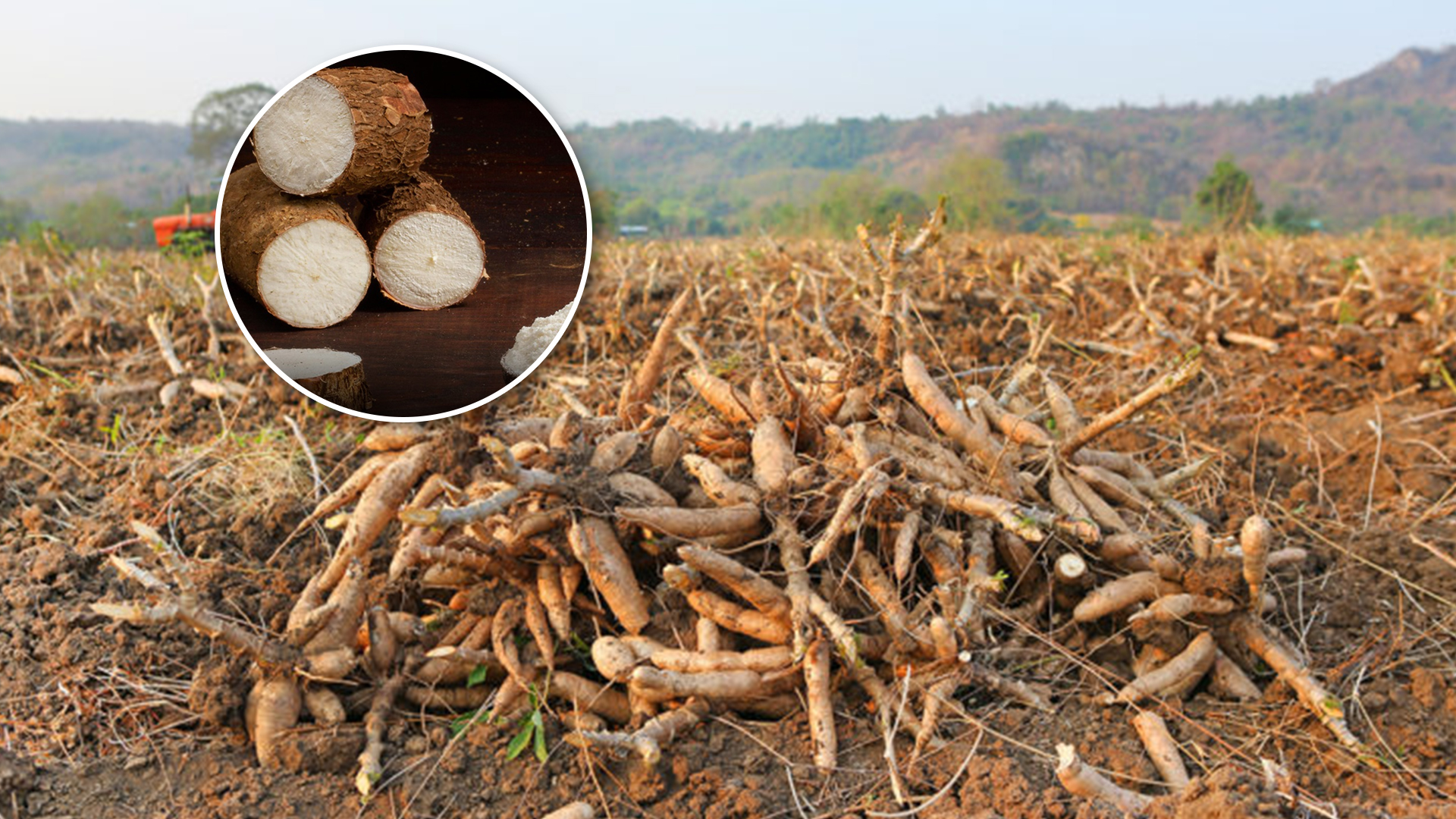 ว่าด้วยเรื่องของ ความ2