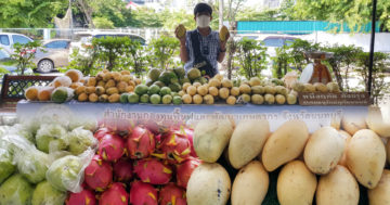 สินค้าเกษตร3