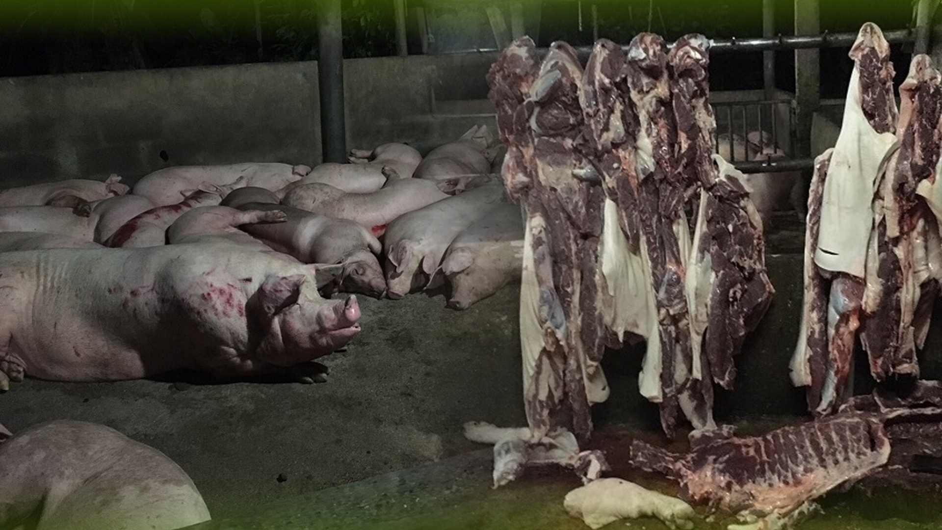 หมู 1
