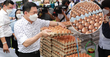 ไข่ไก่3