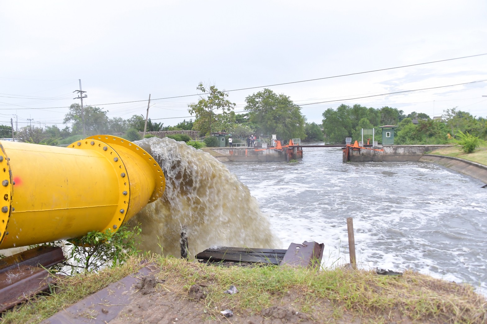 ชลประทานสั่งทุกหน่วยติดตามสถานการณ์ฝนระลอกล่าสุด 14-21 ก.ย.นี้ เตรียมพร้อมรับมือตลอด24ชั่วโมง 3 0AA3DD57 82F9 40EE 9207 1EF107DF3E58