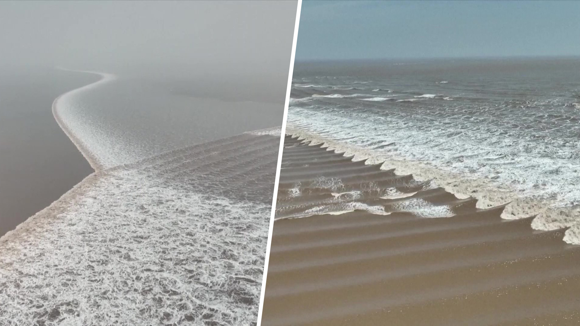 0DB2439C F25B 4C4C 8815 FDA2DE461D72