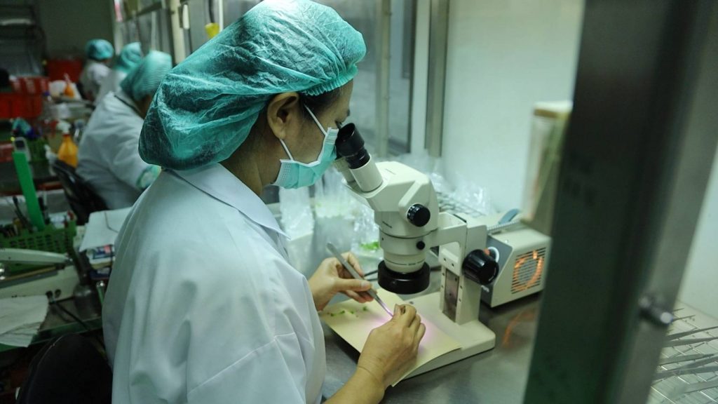 กรมส่งเสริมการเกษตร ตั้งเป้า 10 ปี ก้าวสู่การเป็นผู้นำด้านการผลิตและขยายพืชพันธุ์ดี 2 227275 1024x576 1