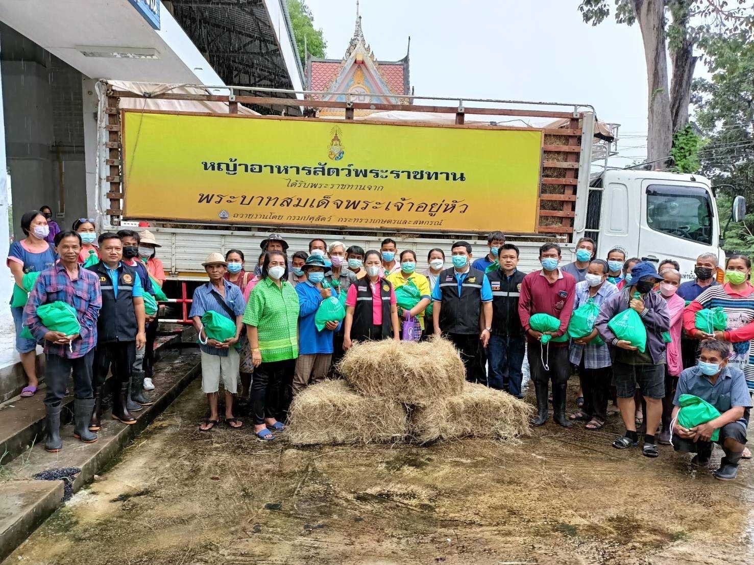 ปศุสัตว์จังหวัดชัยภูมิมอบหญ้าอาหารสัตว์และถุงยังชีพปศุสัตว์พระราชทานช่วยเหลือเกษตรกรประสบอุทกภัย 2 25DB8DCE C713 436B 82B8 E25DB8FF9D21