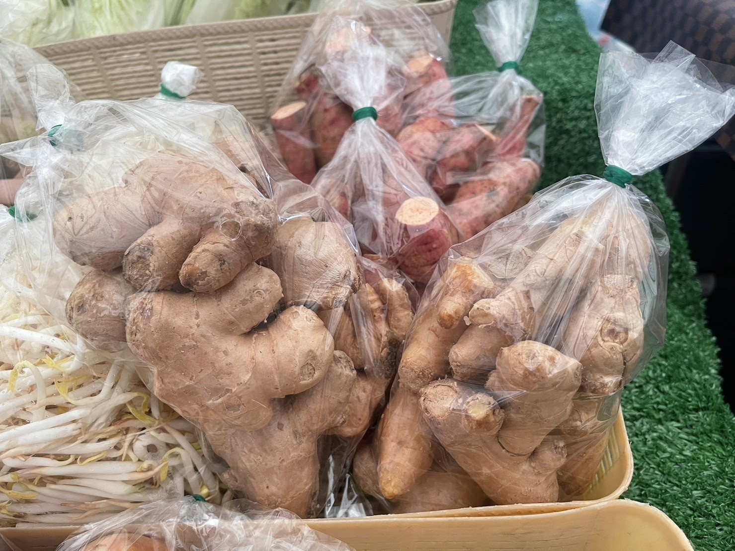 305090496 658339389191938 4112904958159726796 n