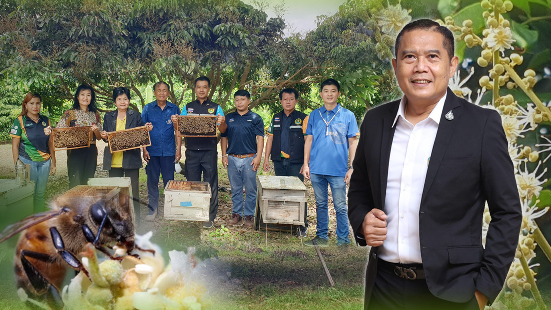 เกษตรส่งเสริมการใช้แมลงผสมเกสรลำไย ผลผลิตเพิ่มขึ้น 78% ชี้ “ทองคำเหลว”จากสวนลำไย มีมูลค่ามหาศาล สร้างงานสร้างเงินให้เกษตรกร 1 515360EB B04B 4CAA B7E0 8186CA61DA96