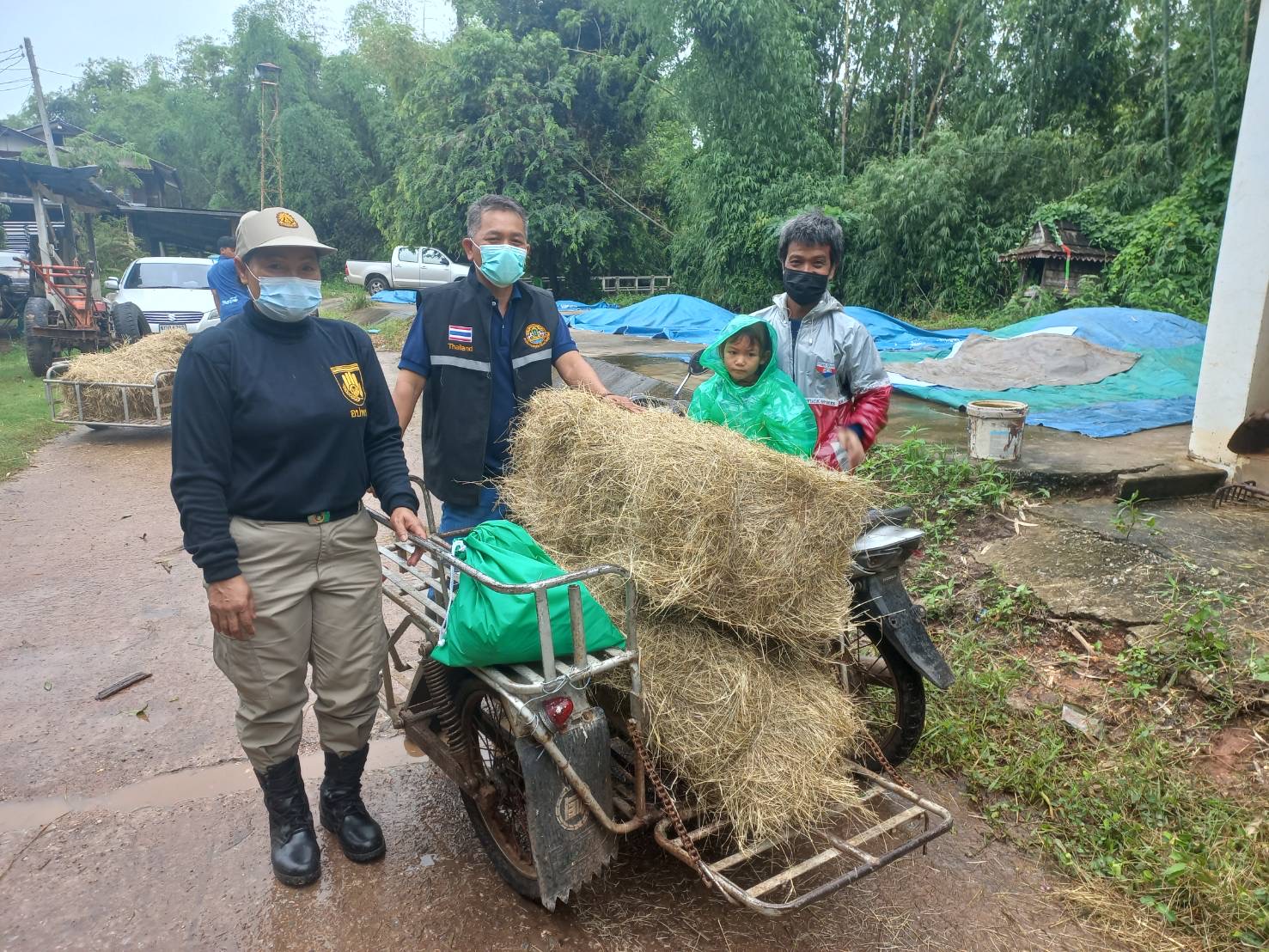 ปศุสัตว์จังหวัดชัยภูมิมอบหญ้าอาหารสัตว์และถุงยังชีพปศุสัตว์พระราชทานช่วยเหลือเกษตรกรประสบอุทกภัย 5 7378B02B 00C2 4B51 92B9 B0698292AC3B