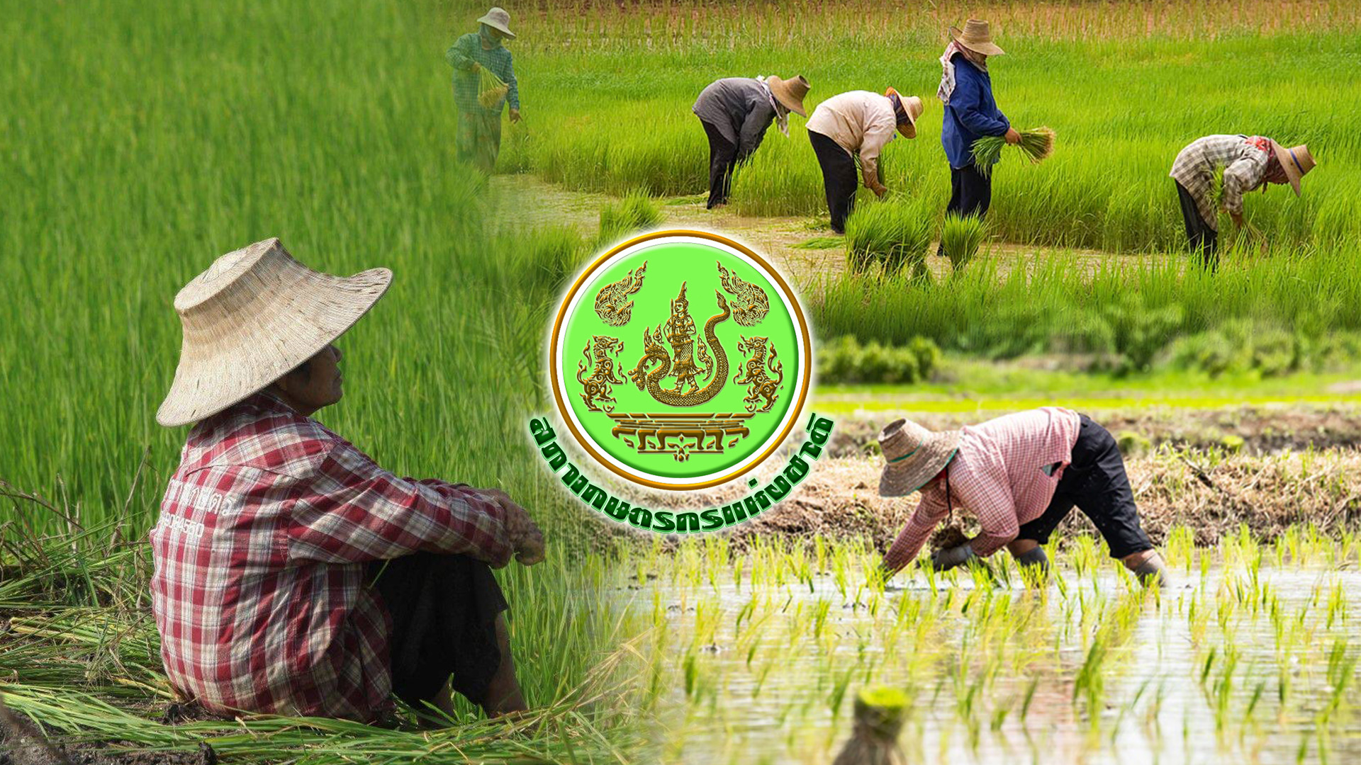 เตรียมตัวให้พร้อม…ปลายปีนี้เลือกสภาเกษตรกรจังหวัด 1 CA678F26 5D8D 40D1 9646 5758C8F2B6B5