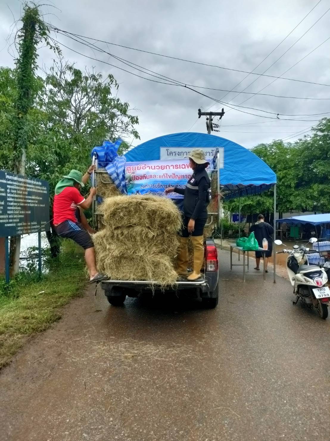 ปศุสัตว์จังหวัดชัยภูมิมอบหญ้าอาหารสัตว์และถุงยังชีพปศุสัตว์พระราชทานช่วยเหลือเกษตรกรประสบอุทกภัย 4 EAE28546 009B 465C A917 52F17F520B65