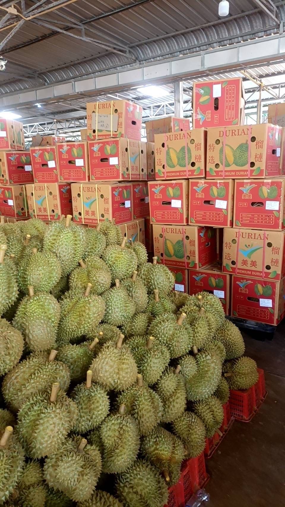 EC1B4066 740C 4FF6 AC3E 17AF951A5AB4