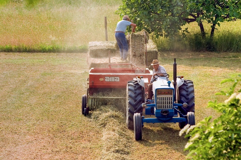 agriculture 5157184 960 720