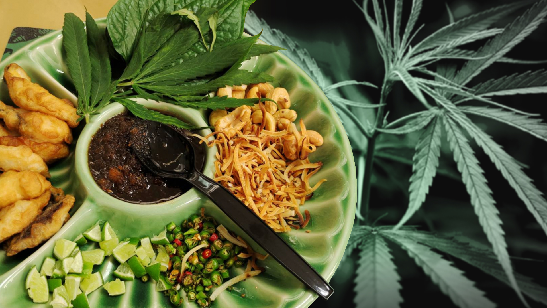 บุคลากรการแพทย์1,363 คนแถลงการณ์จี้รัฐปิดสุญญากาศกัญชาหลังสภาถอนร่างกฎหมายกัญชา 1 กัญชา3 1