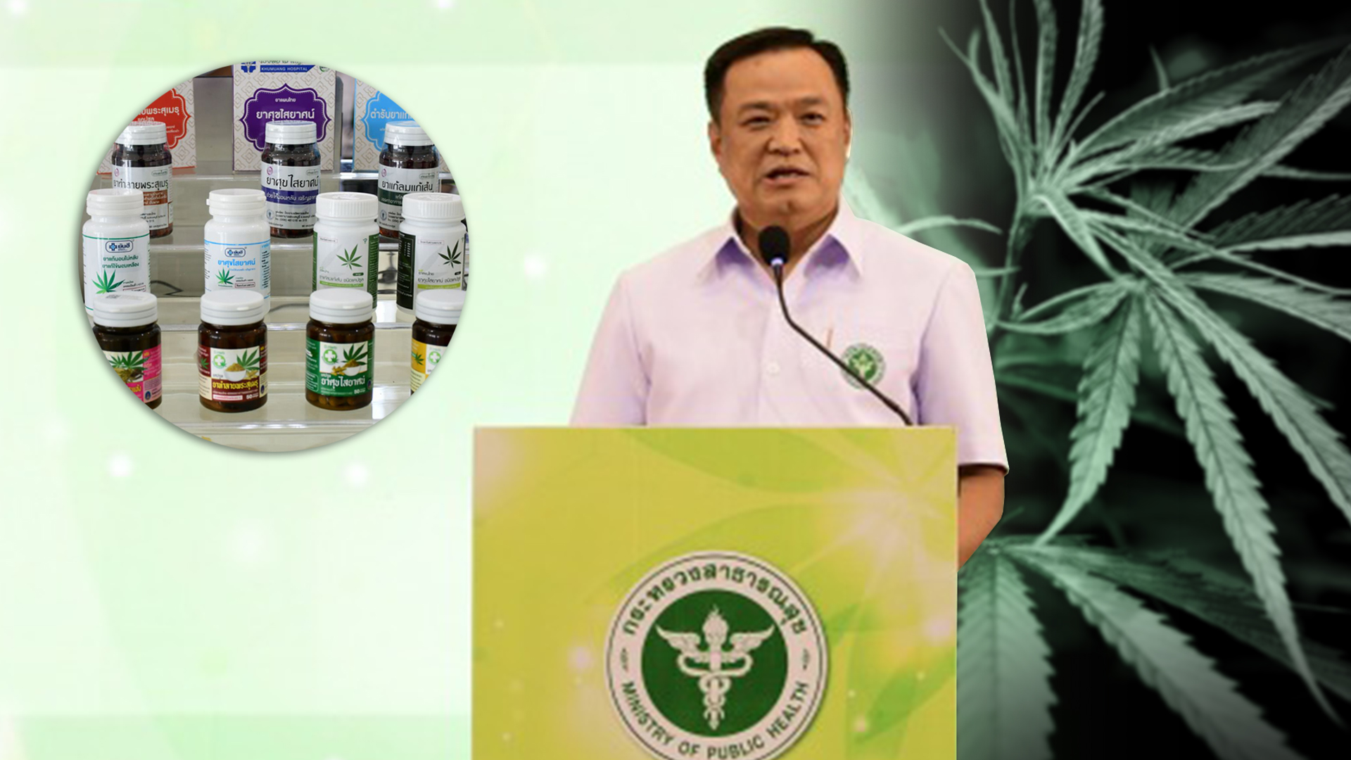 อนุทิน เปิดประชุมกัญชาทางการแพทย์ เน้นให้ความรู้บุคลากรวิชาชีพต่างๆ สร้างความเข้าใจกับประชาชน ในการเข้าถึงอย่างทั่วถึงและปลอดภัย 1 กัญชา3 2